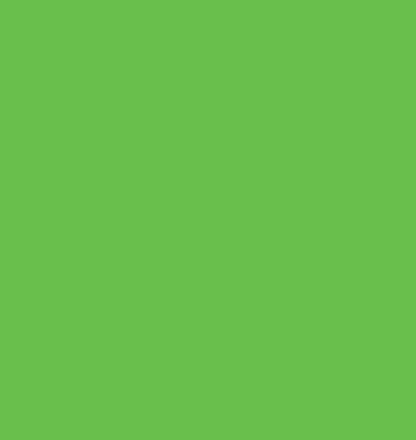 DIGESTIVE ENDCAP - CUBBY FOCUS CENTRE MAGNETIC GRAPHIC - GREEN