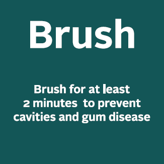 ORAL ENDCAP - CUBBY MAGNETIC GRAPHICS - Brush